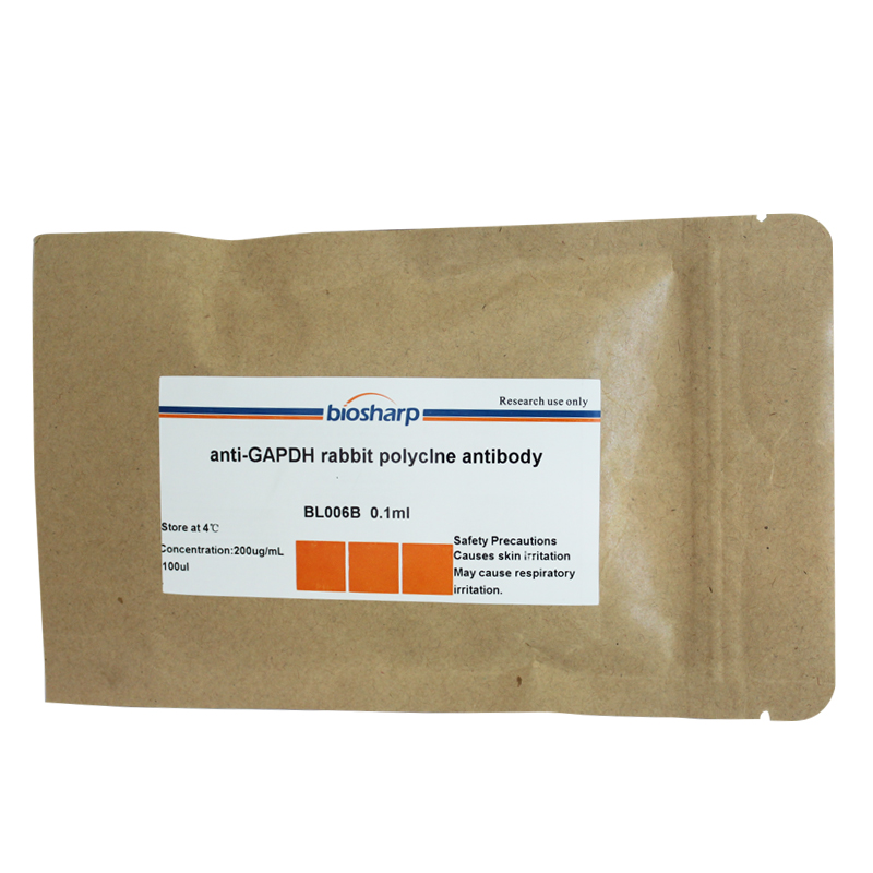 anti-GAPDH Rabbit polyclone biosharp实验室专用